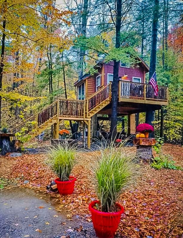 The treehouse accommodation is especially magical during the fall foliage season