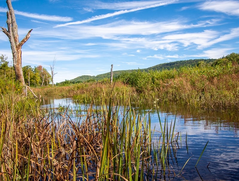 The Berkshires in Western, Massachusetts is one of the best road trips from Boston.