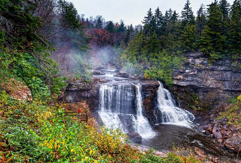 Blackwater Falls State Park is a nature-lover’s dream.