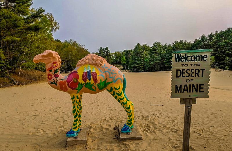 Desert of Maine is a must-see sight in Freeport.