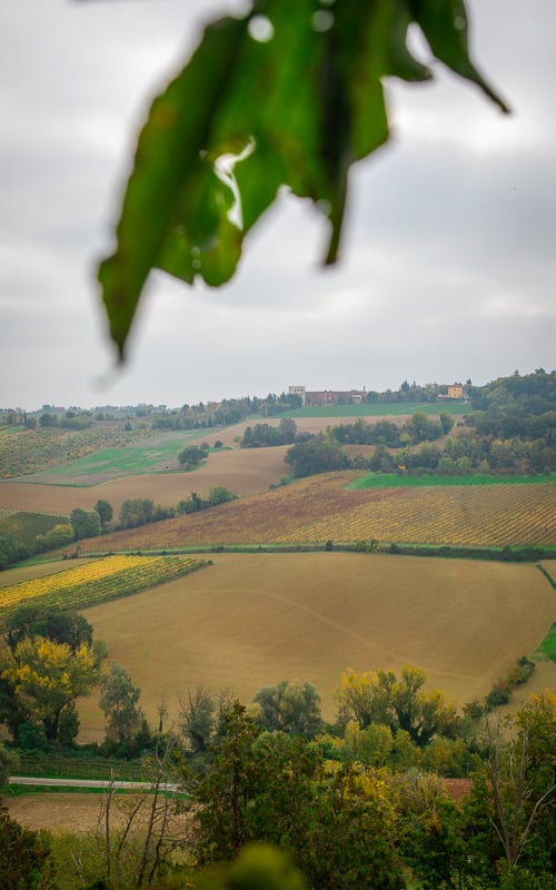 The country road leading up to Dozza is beautiful, where you'll pass farms, vineyards, and orchards, a scene reminiscent of Tuscany.