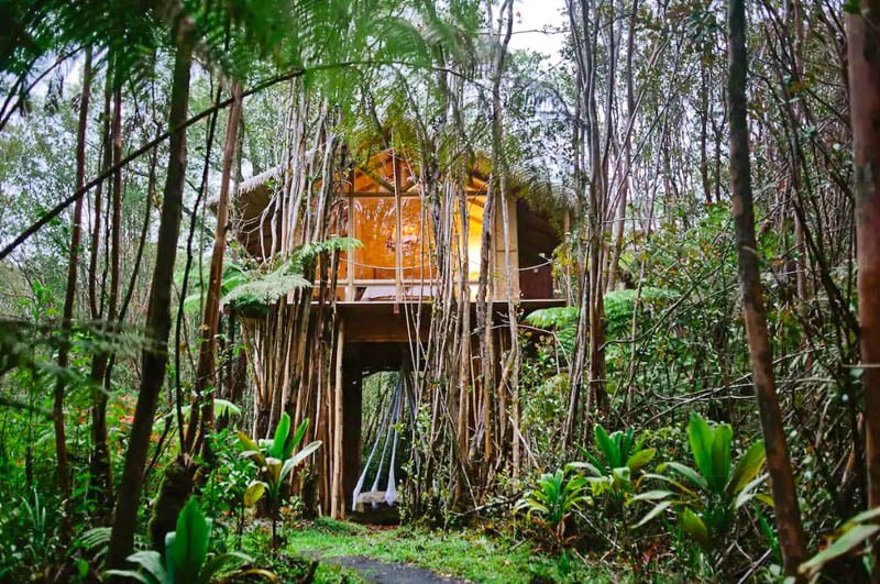 This remote treehouse in a bamboo forest is top among the coolest and most unique Airbnbs in the US.