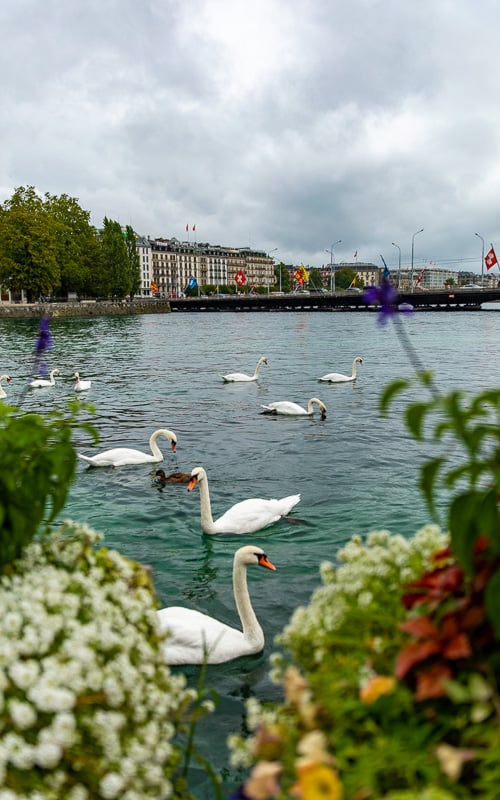 Lake Geneva is one of the most beautiful places in Switzerland.