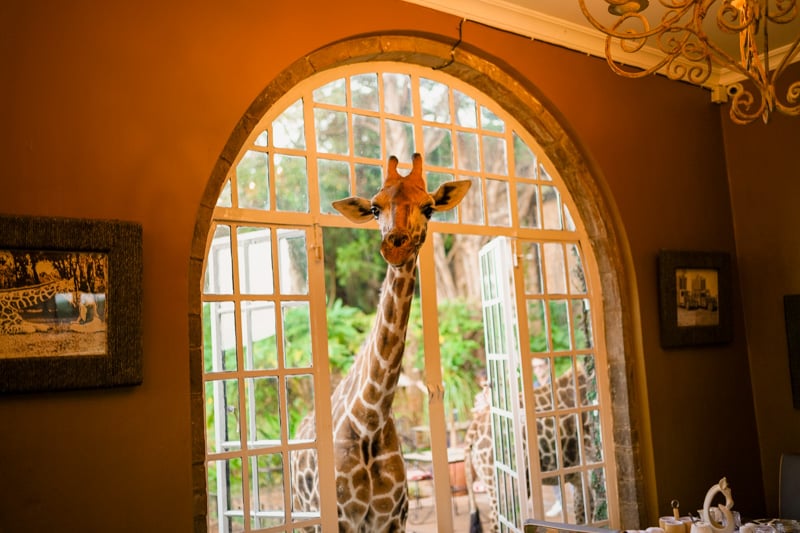 Add this to your best bucket list: staying overnight at Giraffe Manor