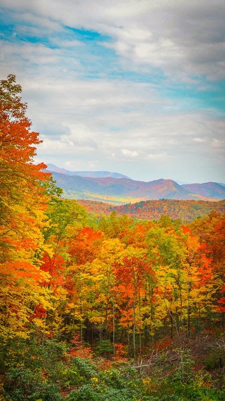 The fall foliage season reminds us why the Smoky Mountains are one of the best places to visit on the east coast.