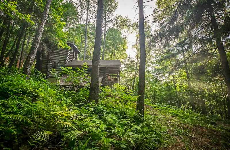 An airbnb accommodation in the middle of the forest in New England.