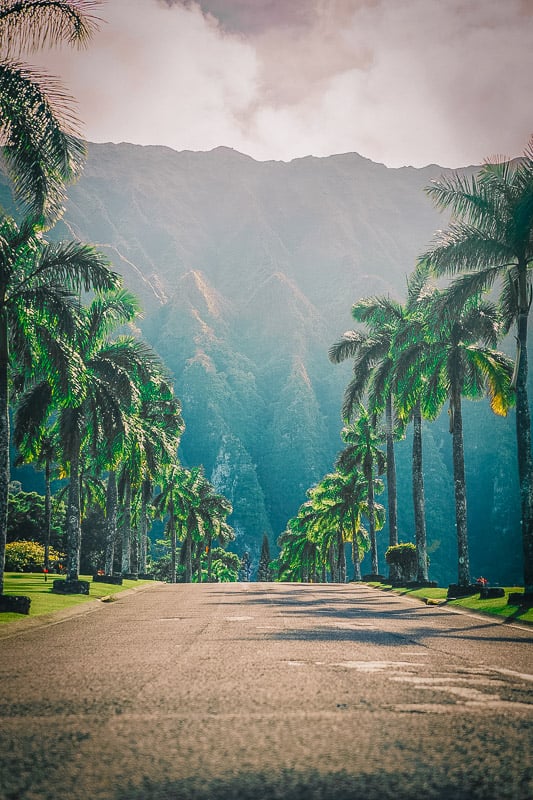 Hawaii is truly a paradise on Earth. It's easily among the best places to travel with friends.