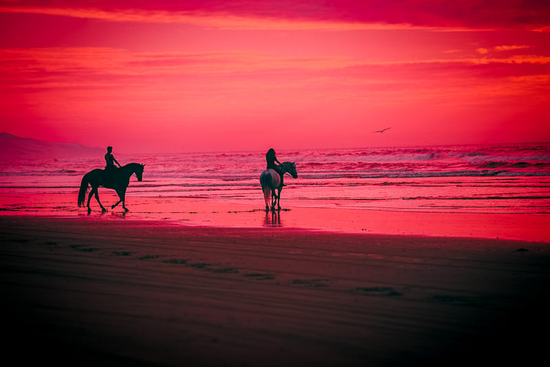 Horseback riding at sunset is one of the most unique bucket list ideas out there.
