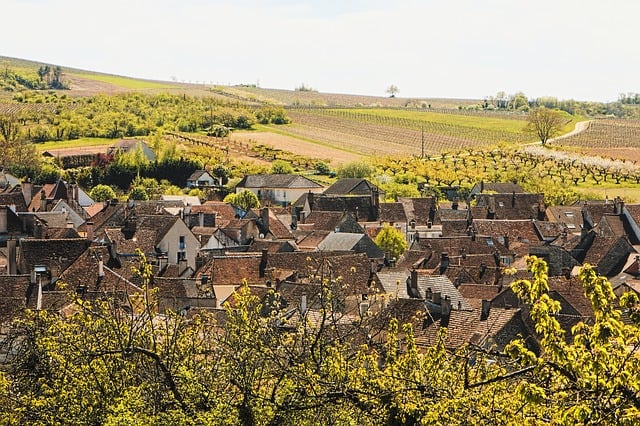 Irancy is a small village in Burgundy. This is one of the best wine regions in the world that you should visit in 2020.