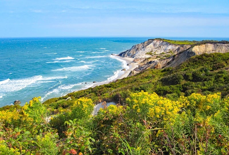 If you're planning to visit Cape Cod, consider making the ferry ride over to Martha's Vineyard.