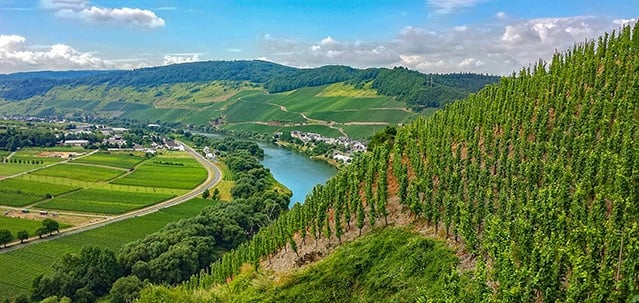 Mosel is the top wine region in Germany, and one of the best wine regions in all of Europe.