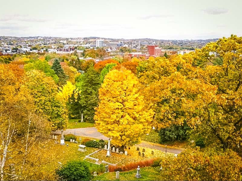 Mount Auburn Cemetery is especially photogenic during the fall.