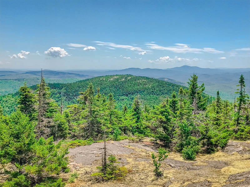 Mount Cardigan Holt Trail New Hampshire
