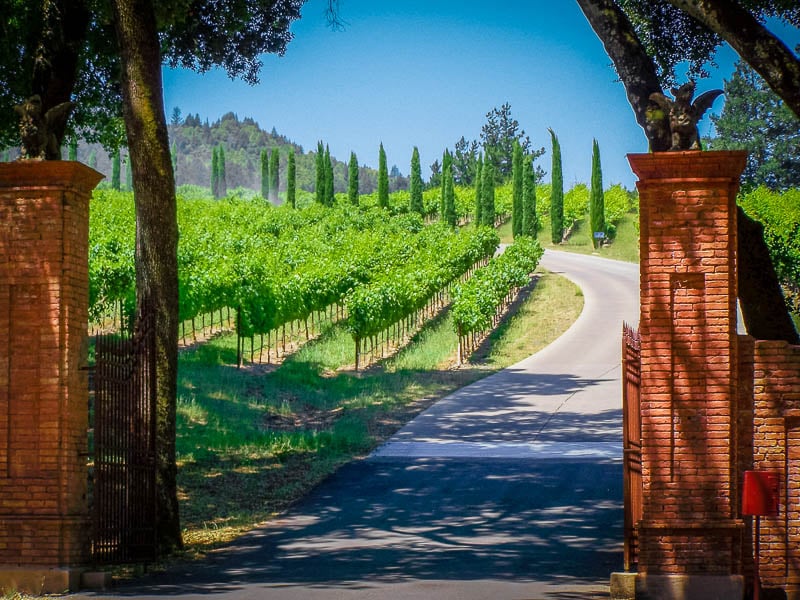 Vineyards in Napa Valley is among the best places to visit with friends
