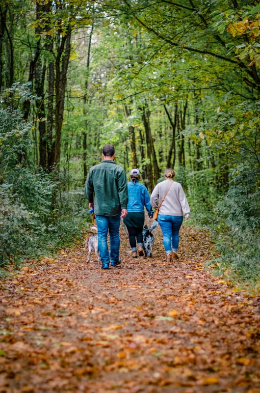 Nature walks will help you recover faster