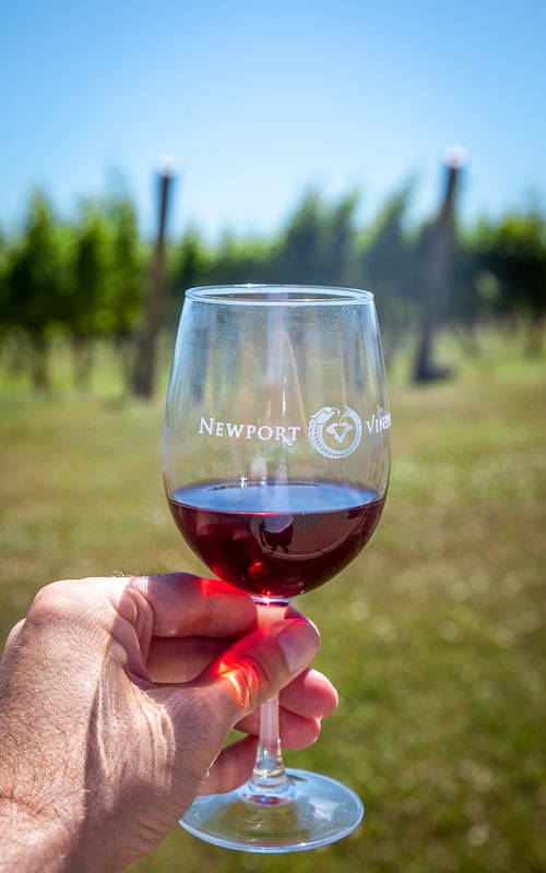 A weekend in Newport isn't complete without a visit to Newport Vineyards.