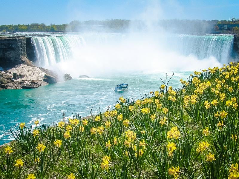The magnificent waterfalls surrounded by Daffodils.