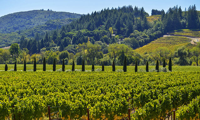Sonoma Valley is one of the best wine regions and destinations in the world.