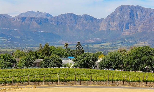 South Africa is one of the top wine regions and destinations in the world that you should visit in 2020.