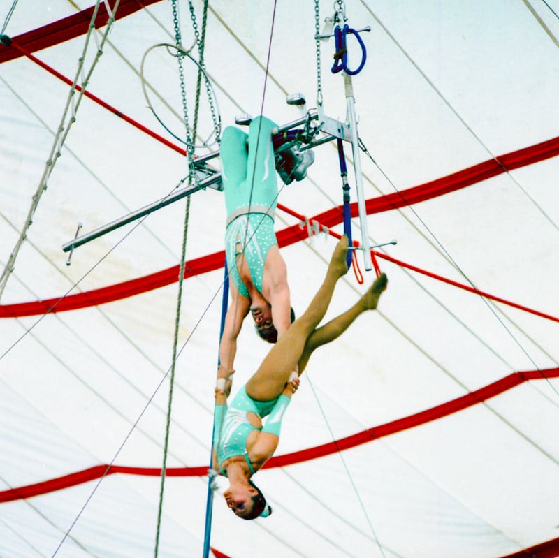 Trapeze classes are a great way to get out of your comfort zone