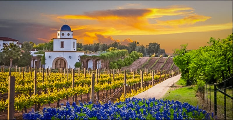 For wine lovers, Fredericksburg TX is considered one of the best hidden gems in the US.