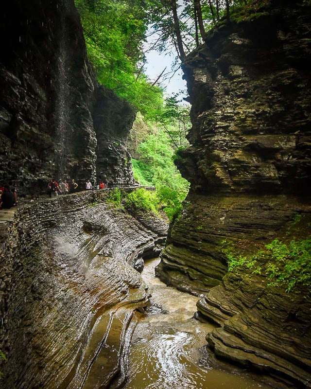 Watkins Glen in the Finger Lakes of NY is absolutely gorgeous