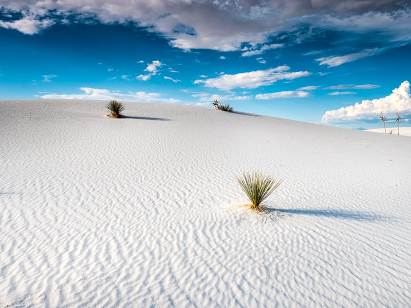 White Sands is an epic spot for hiking