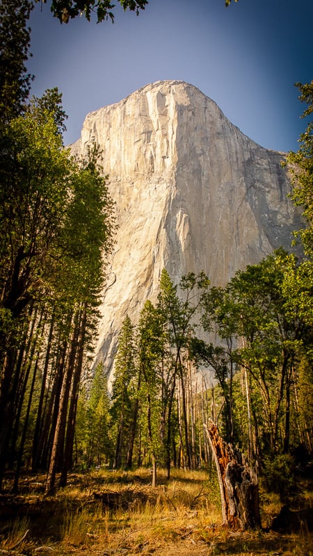 El Capitan at Yosemite National Park is one highlight of this Globus Choice Touring